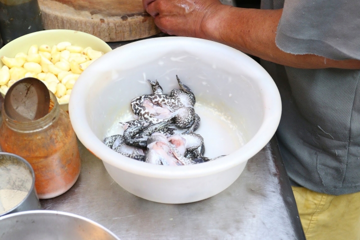 [台南][中西區] 阿川紅燒青蛙
