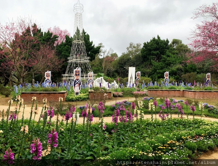 [台北景點]花卉試驗中心~免費賞花又一處