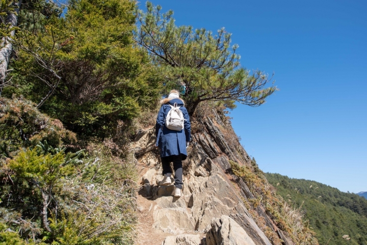 走在雲端上看見台灣之美—去看合歡北峰上的大草原與反射板