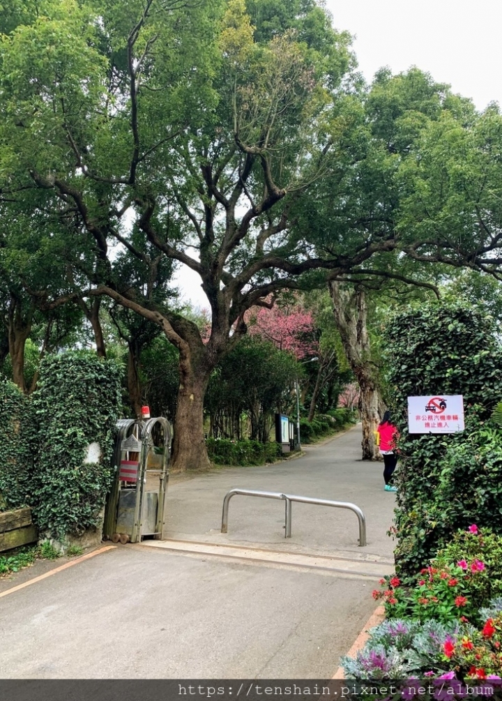 [台北景點]花卉試驗中心~免費賞花又一處