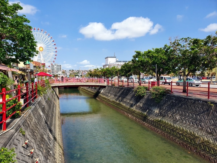 嫩嫩肥魯用S10+攝影跟拍照記錄2019台北自行車展