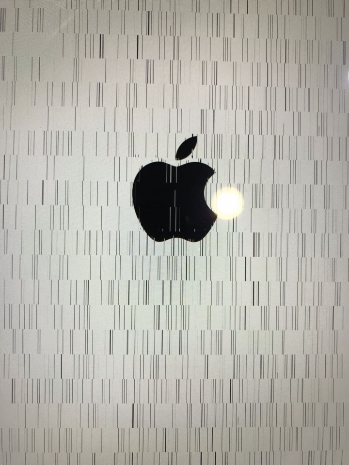 iPad Pro一代出現條紋無限重開