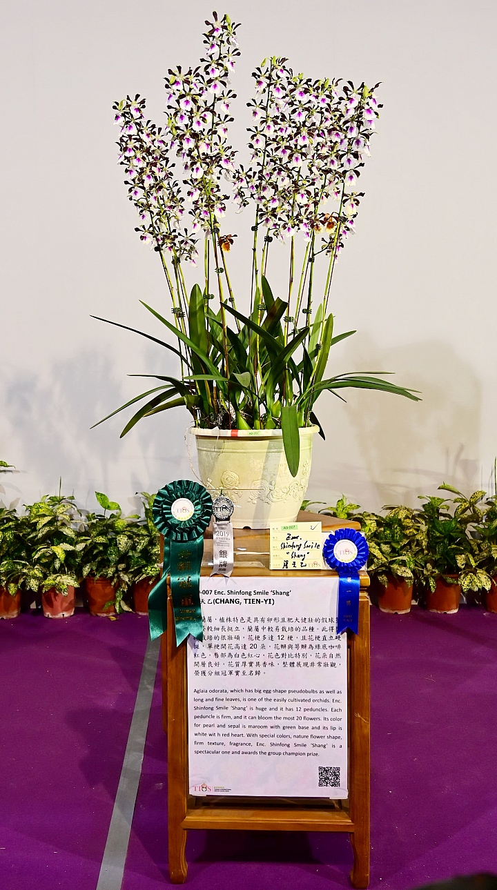 38婦女節快樂，歡迎大家來台南後壁區參觀2019台灣國際蘭展。
