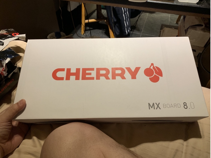 cherry鍵盤 MX 8.0 簡易開箱