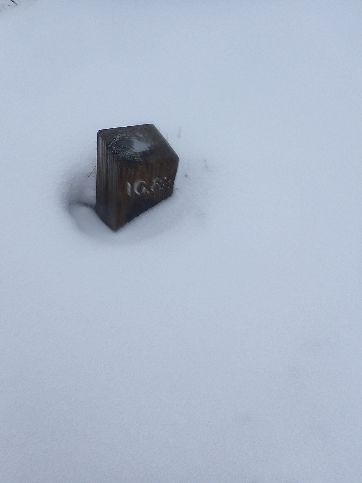 2019抓住冬天的尾巴..雪主賞雪去