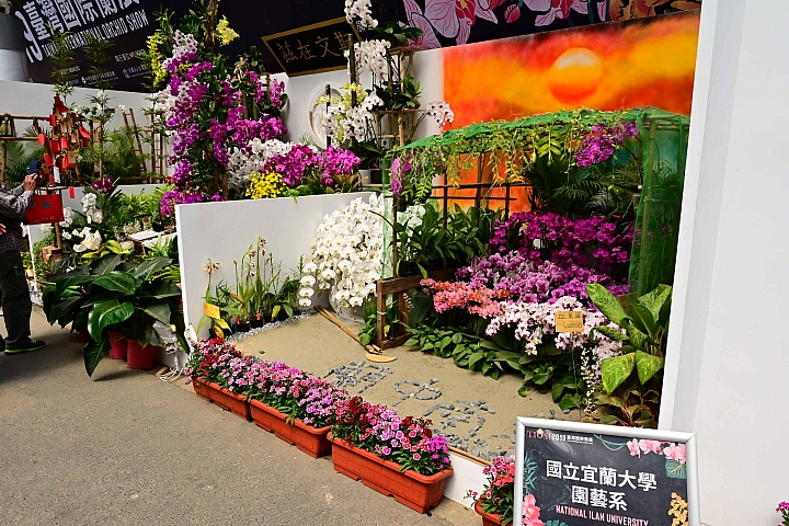 38婦女節快樂，歡迎大家來台南後壁區參觀2019台灣國際蘭展。
