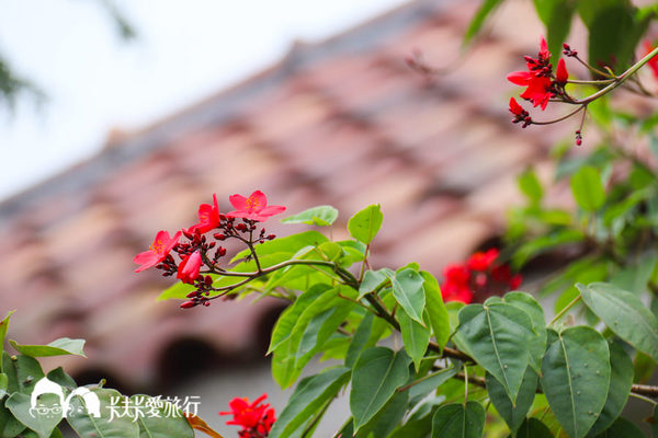 宜蘭民宿-43會館Villa|不用出國!一秒就到峇里島度假頂級親子包棟民宿