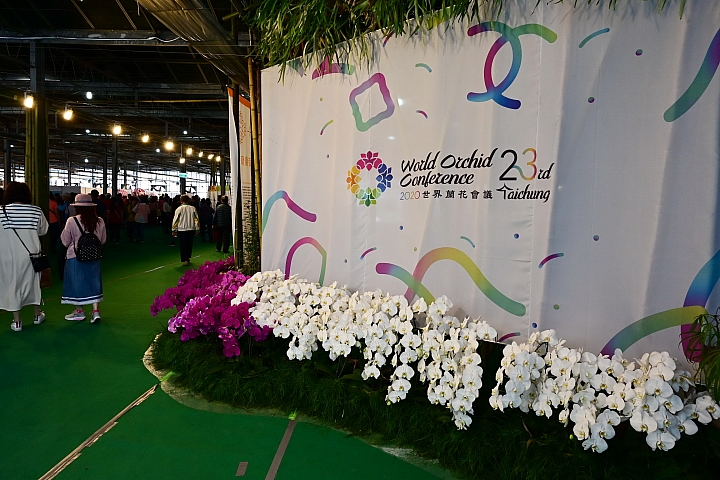 38婦女節快樂，歡迎大家來台南後壁區參觀2019台灣國際蘭展。