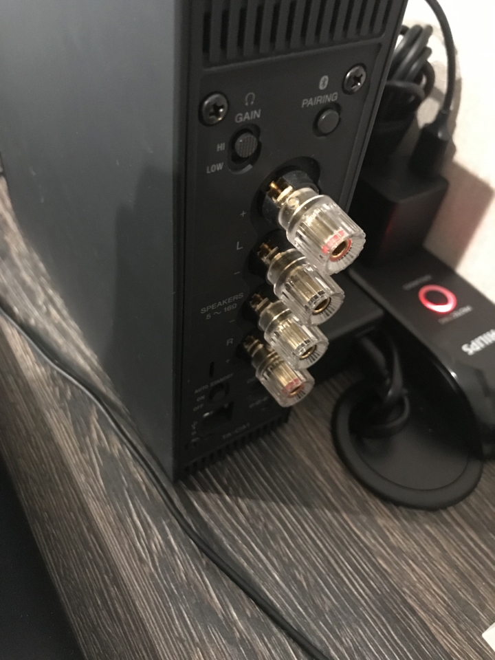 SONY CAS-1 線材請教