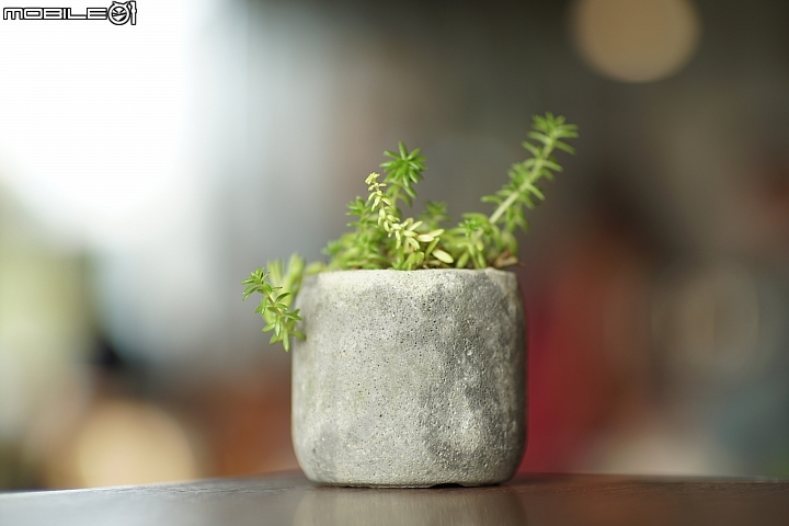 KamLan 50mm f/1.1 II 超大光圈卻有平實售價