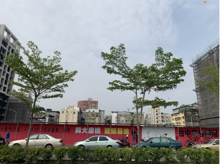 興大康橋-柱中柱(已下訂&有興趣也歡迎來群組交流)