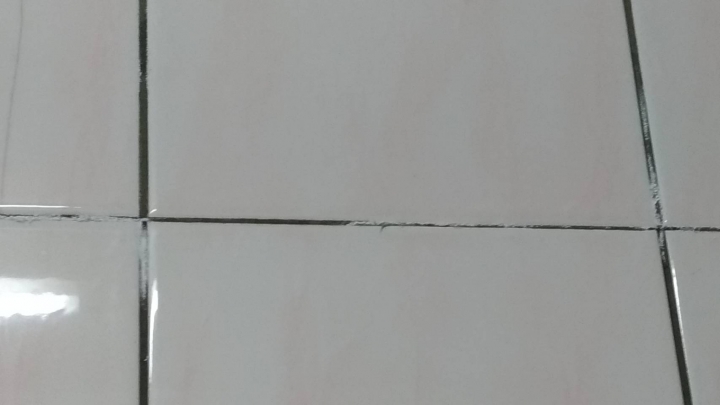 請問這是什麼???  (磁磚縫隙白白東西 感覺又不像霉)