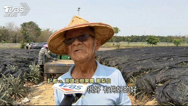 綠營鐵票區生鏽，農民紛紛轉挺國民黨，難怪蔡桶要發飆！