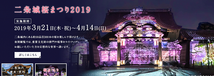 [京都]櫻花2019滿開第一發搶先看＆最新情報！拍照by iPhone XS MAX, Moto one