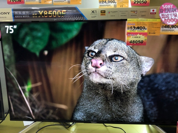 Sony 55X8500F VS國際牌55FX800