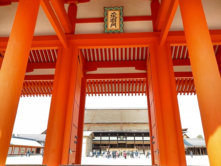 [京都]櫻花2019滿開第一發搶先看＆最新情報！拍照by iPhone XS MAX, Moto one