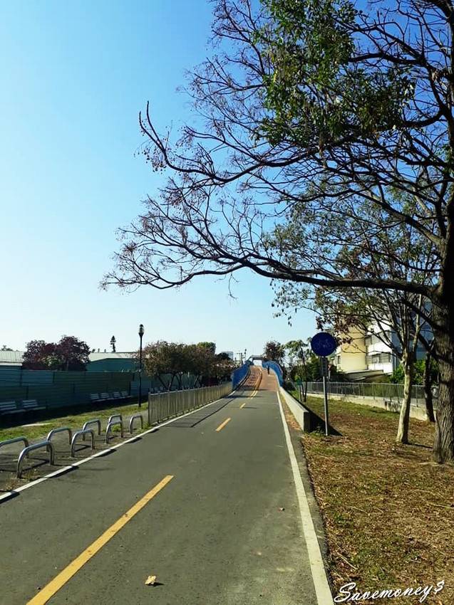 潭雅神綠園道｜S彎道逍遙鐵馬行,春光明媚賞花去 - 達人Emily的播報台