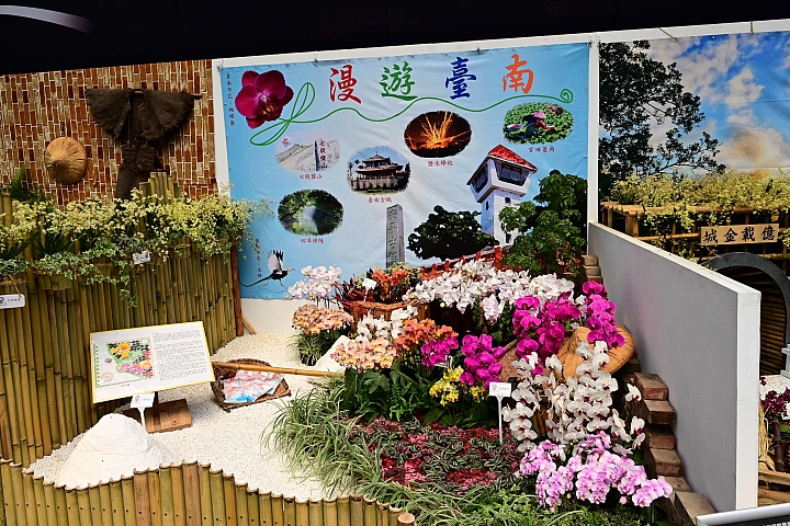 38婦女節快樂，歡迎大家來台南後壁區參觀2019台灣國際蘭展。