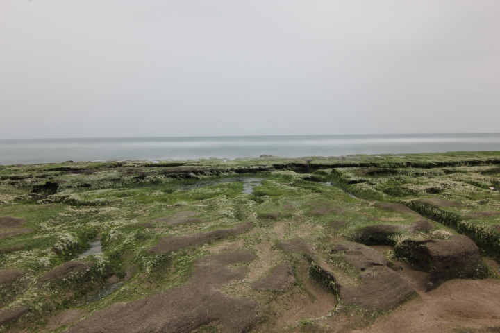 2019八天七夜全海線 一個人的環島之旅（第六天-九份到中壢+第七天-中壢到台中）
