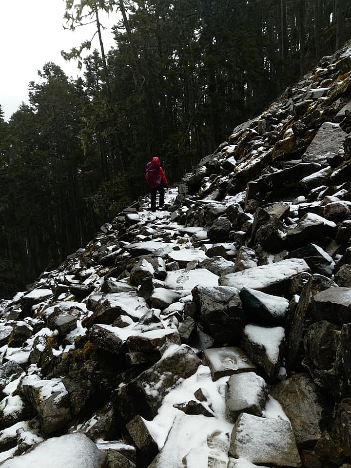 2019抓住冬天的尾巴..雪主賞雪去