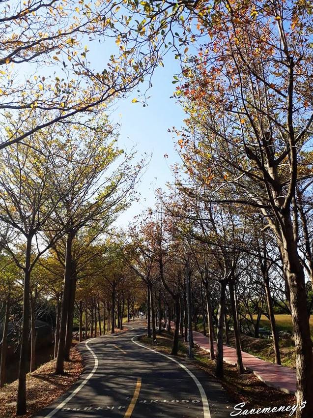 潭雅神綠園道｜S彎道逍遙鐵馬行,春光明媚賞花去 - 達人Emily的播報台
