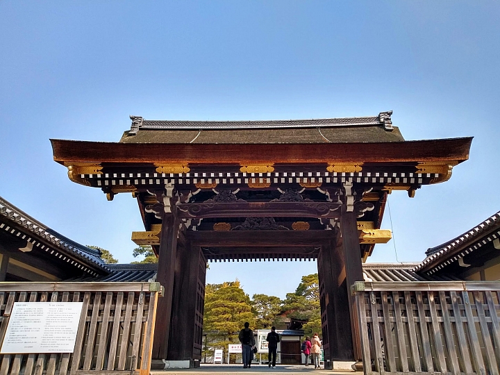 [京都]櫻花2019滿開第一發搶先看＆最新情報！拍照by iPhone XS MAX, Moto one