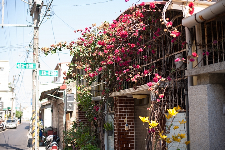 帶著 CANON 50/1.4 回南部 ２１p