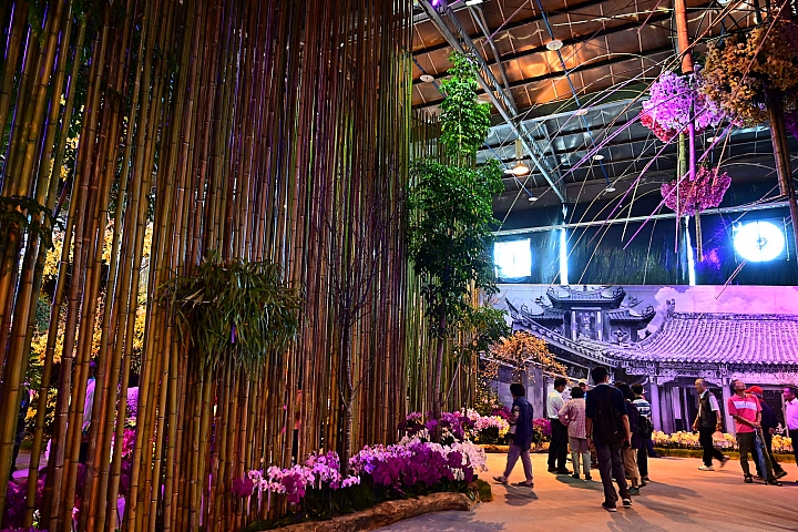 38婦女節快樂，歡迎大家來台南後壁區參觀2019台灣國際蘭展。