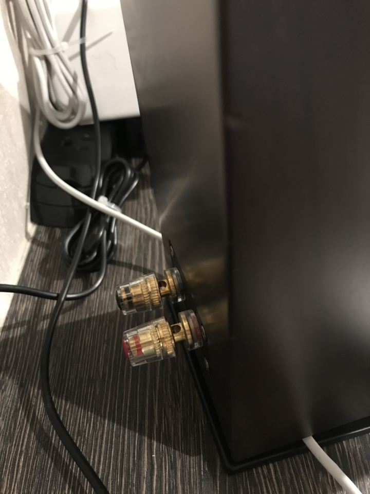 SONY CAS-1 線材請教