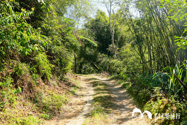 宜蘭秘境-蟾蜍山觀景台｜無敵海景壯觀夜景！用鳥的視角看龜山島與蘭陽平原