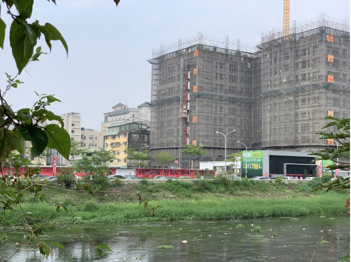 興大康橋-柱中柱(已下訂&有興趣也歡迎來群組交流)