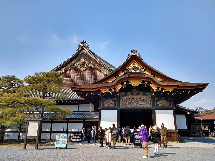 [京都]櫻花2019滿開第一發搶先看＆最新情報！拍照by iPhone XS MAX, Moto one