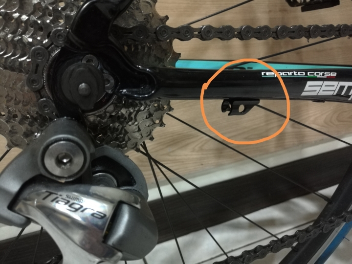請問有人知道Bianchi車架後下叉這個零件嗎?