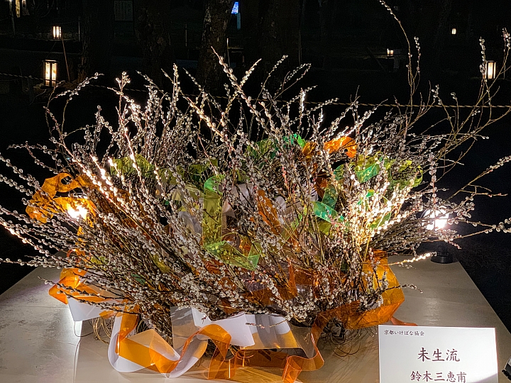 [京都]櫻花2019滿開第一發搶先看＆最新情報！拍照by iPhone XS MAX, Moto one