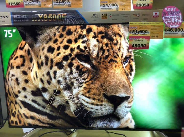 Sony 55X8500F VS國際牌55FX800