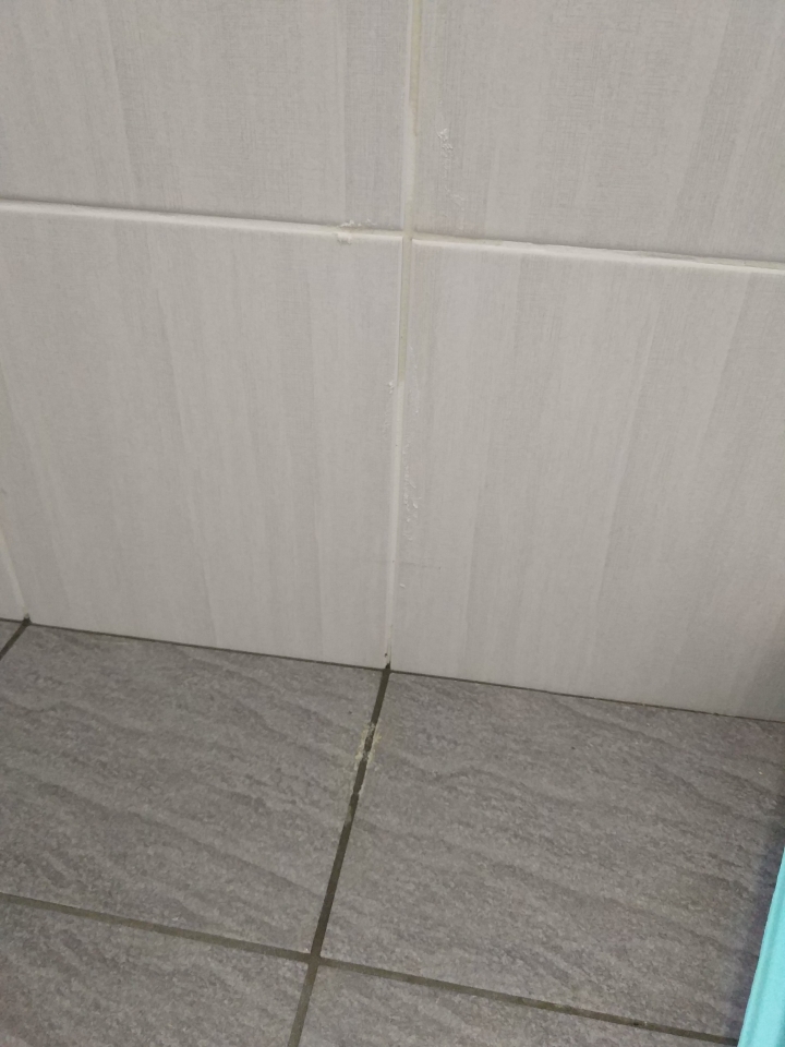 完全沒有使用的浴室牆壁出現滲水痕跡，沿著滲水痕處還有白色粉末附著，請問是漏水了嗎？