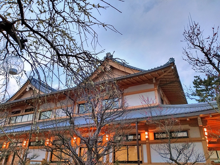 [京都]櫻花2019滿開第一發搶先看＆最新情報！拍照by iPhone XS MAX, Moto one