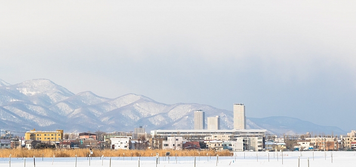 [遊記] 在札幌如果有半天的空檔 來北海道大學走走吧