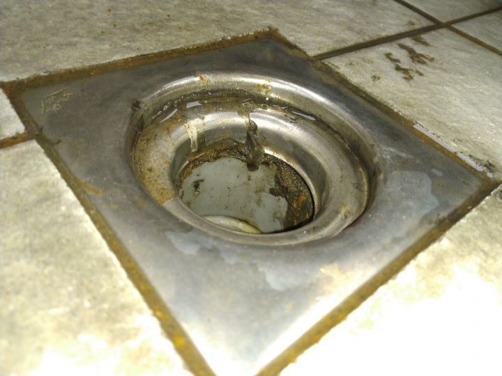 地板落水頭 滲水到樓下天花板 如何處理