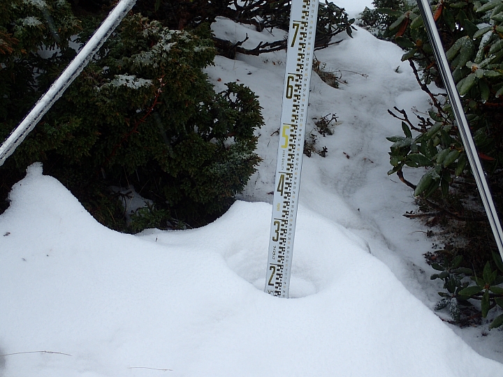 2019抓住冬天的尾巴..雪主賞雪去
