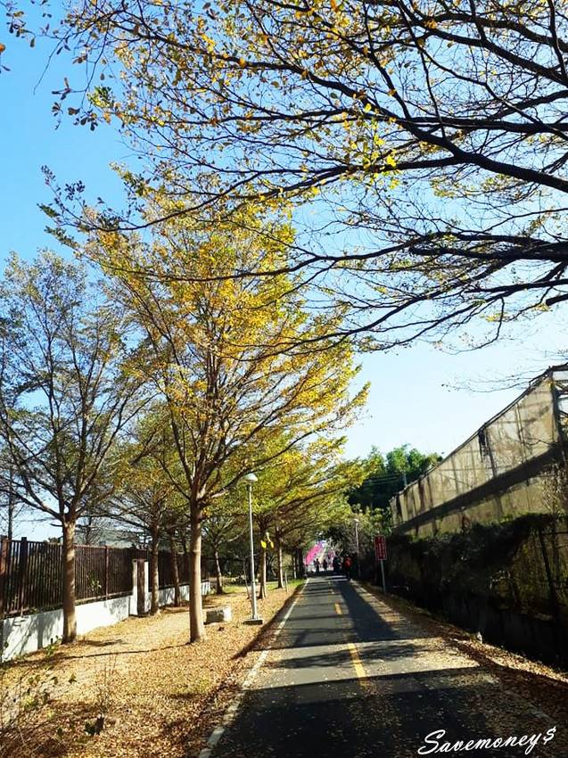潭雅神綠園道｜S彎道逍遙鐵馬行,春光明媚賞花去 - 達人Emily的播報台