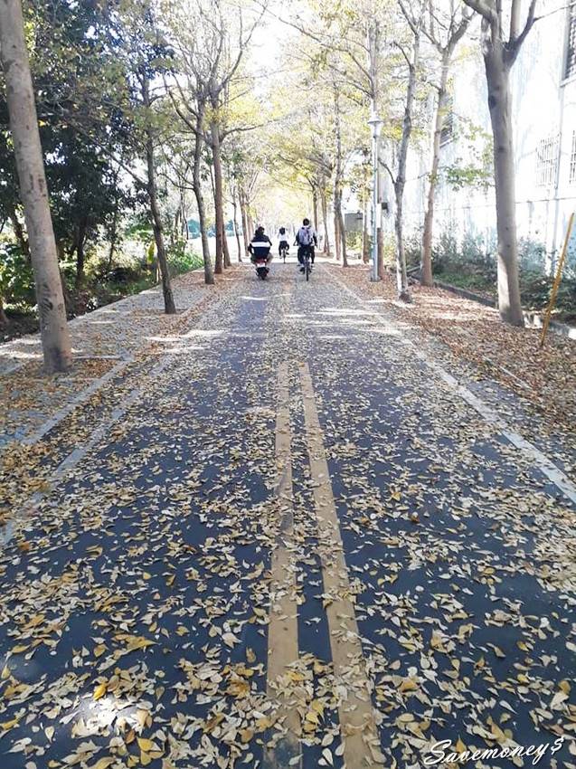 潭雅神綠園道｜S彎道逍遙鐵馬行,春光明媚賞花去 - 達人Emily的播報台