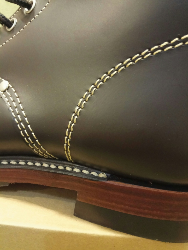 [TOYS MCCOY_Danner Bull Run]