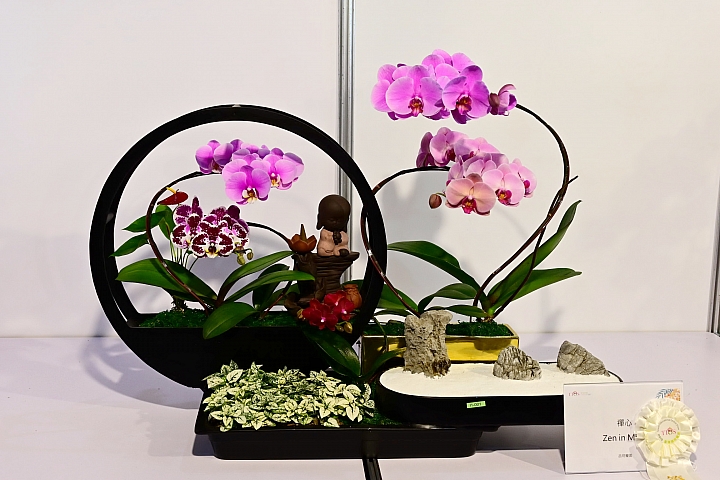 38婦女節快樂，歡迎大家來台南後壁區參觀2019台灣國際蘭展。