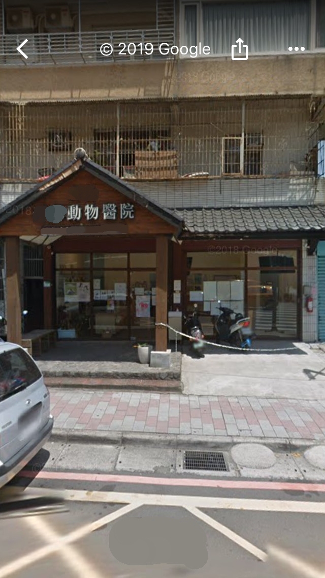 下巴歪小貓咪，重獲新生