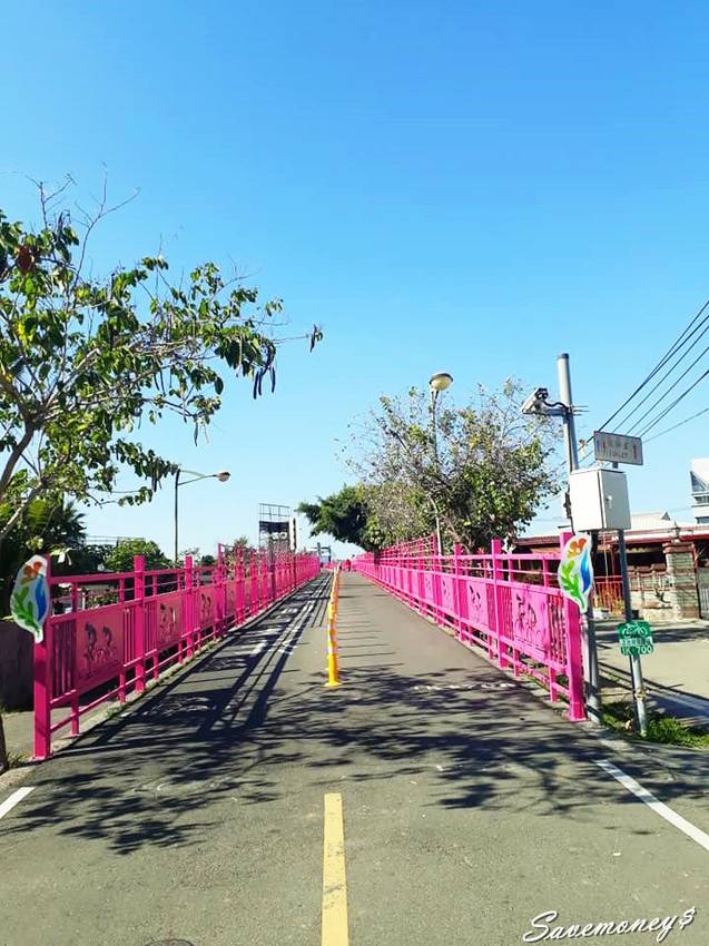 潭雅神綠園道｜S彎道逍遙鐵馬行,春光明媚賞花去 - 達人Emily的播報台