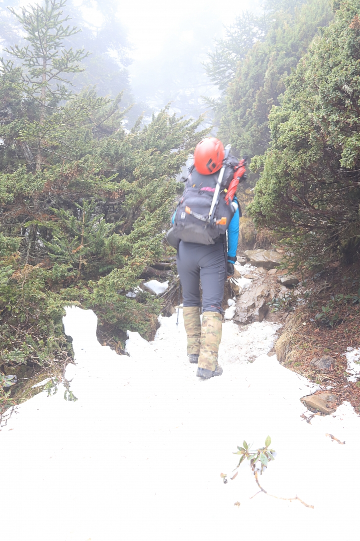 2019抓住冬天的尾巴..雪主賞雪去