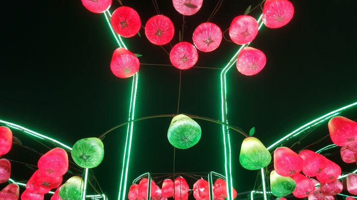 2019台灣燈會 賞圖樓