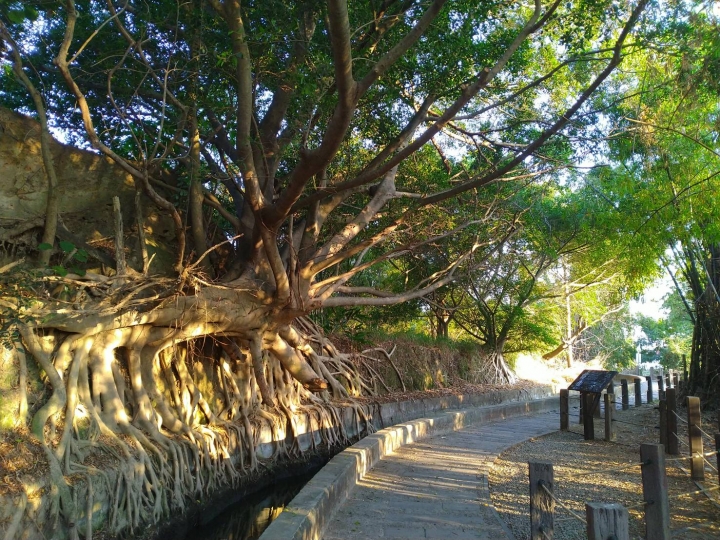 獨行分段環島-2018