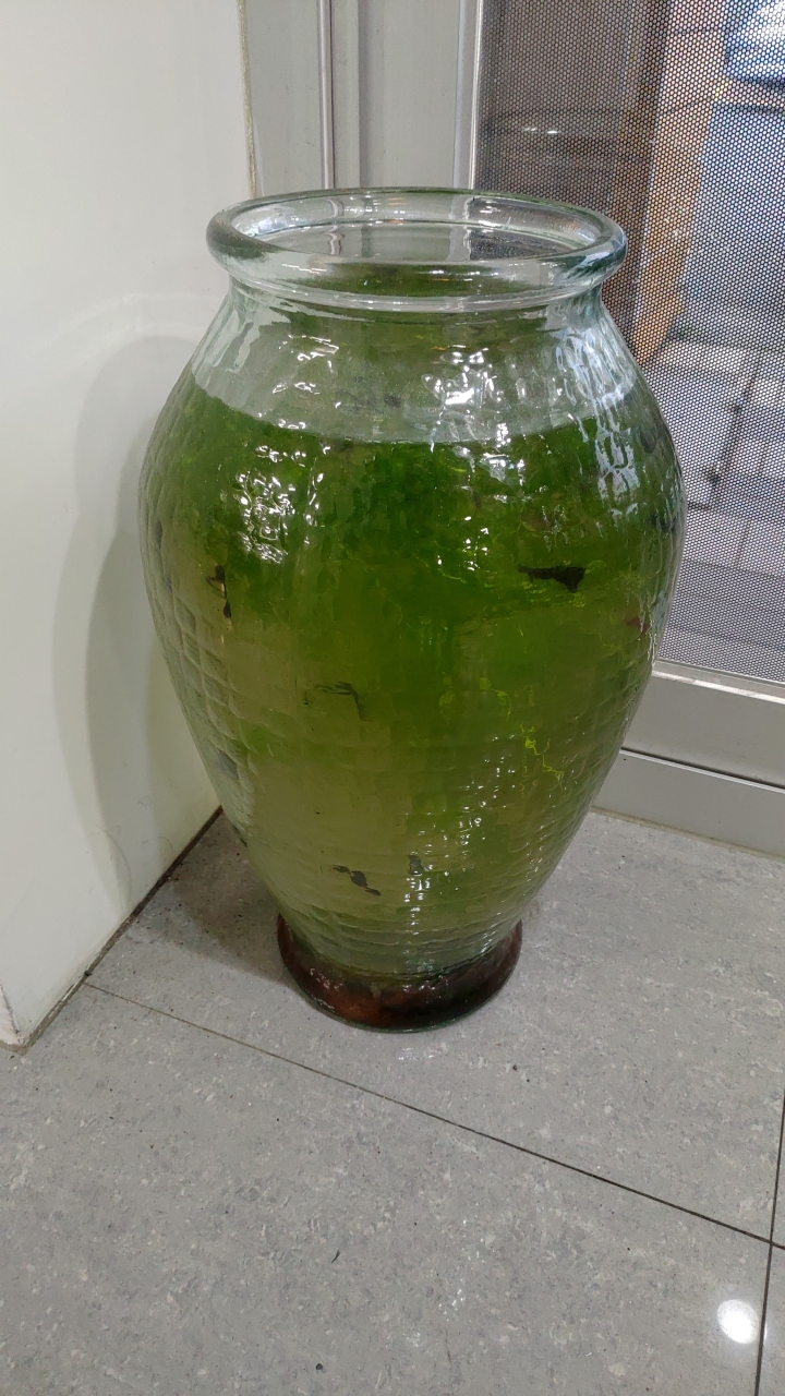 這樣養魚可以嗎？